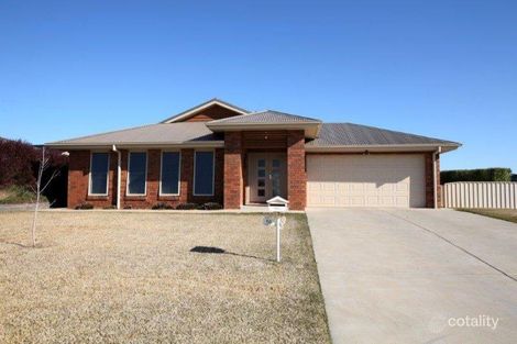 56 John Potts Dr, Junee, NSW 2663