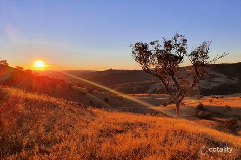 210 Burns Rd, Ullamalla, NSW 2850