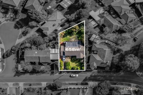 Property photo of 19 Brentwood Drive Glen Waverley VIC 3150