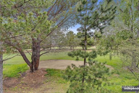 Property photo of 44 Jerrabomberra Avenue Narrabundah ACT 2604