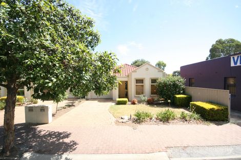 120 East Ave, Clarence Park, SA 5034
