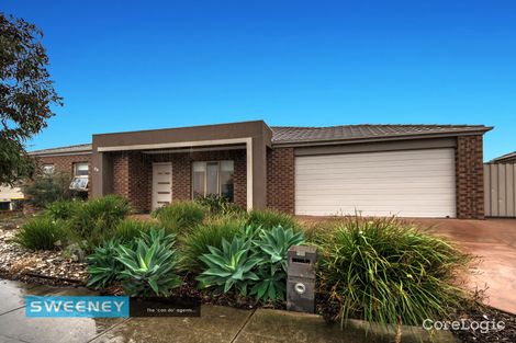 Property photo of 29 Pimelea Terrace St Albans VIC 3021