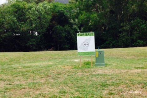 Property photo of 12 Kurt Close Palm Cove QLD 4879
