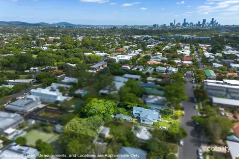 Property photo of 25 Avoca Street Yeronga QLD 4104