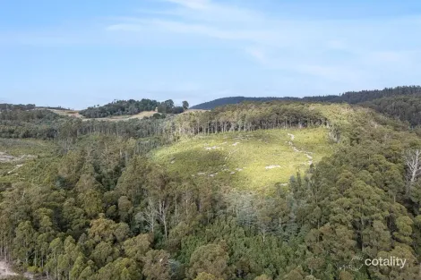 Property photo of 872 Holwell Road Holwell TAS 7275