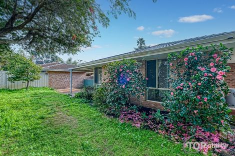 Property photo of 4A Finch Place Bull Creek WA 6149