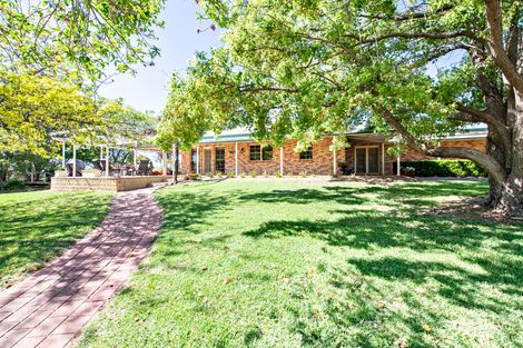 49r Burraway Rd, Terramungamine, NSW 2830