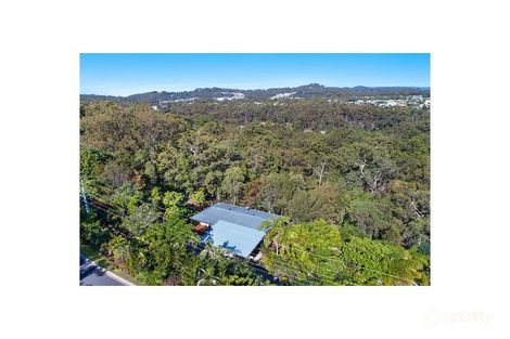 Property photo of 80 Bridgman Drive Reedy Creek QLD 4227