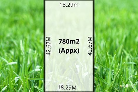 Property photo of 29 Amber Road Highbury SA 5089