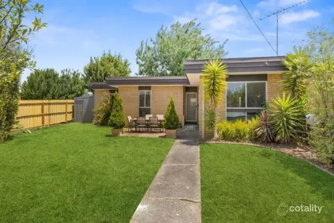 1/232 High St, Belmont, VIC 3216