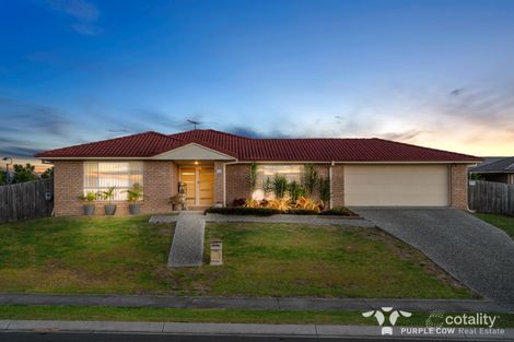 Property photo of 3 Jack Drive Redbank Plains QLD 4301