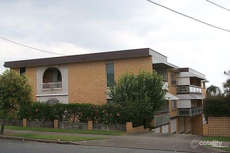 Property photo of 3/339 Cavendish Road Coorparoo QLD 4151