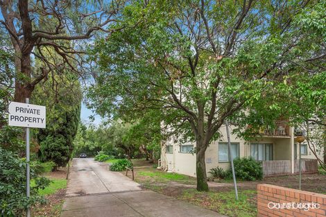 Property photo of 24/1551-1553 High Street Glen Iris VIC 3146