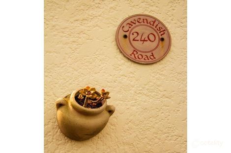 Property photo of 240 Cavendish Road Coorparoo QLD 4151