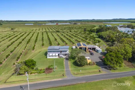 12 Patchs Beach Rd, East Wardell, NSW 2477
