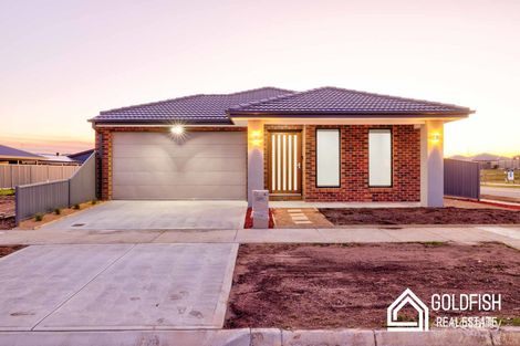 Property photo of 82 Willoby Drive Alfredton VIC 3350