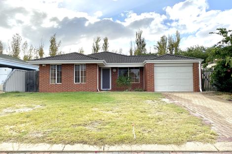11 Gambar Ct, Bentley, WA 6102