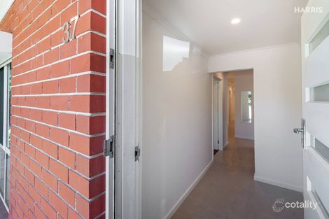 Property photo of 37 McInerney Avenue Mitchell Park SA 5043