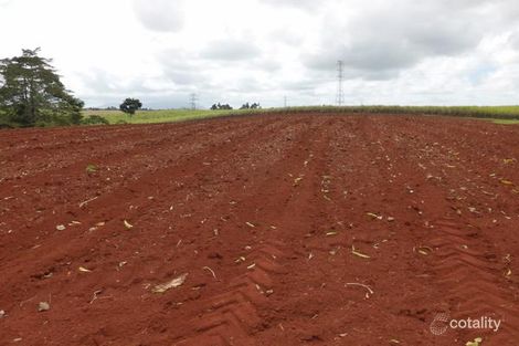 116 Reilly Rd, Currajah, QLD 4871