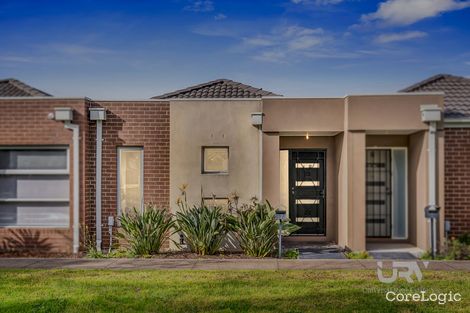 Property photo of 17 Hadley Lane Craigieburn VIC 3064