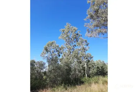 Property photo of LOT 51 Friarbird Drive Moolboolaman QLD 4671