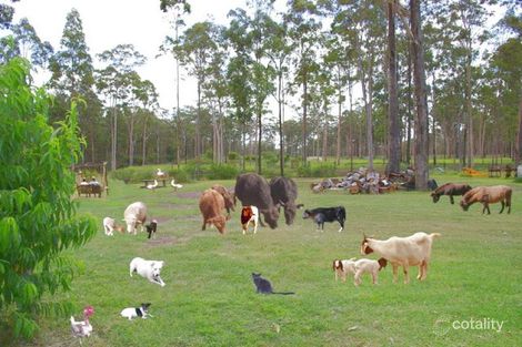 Property photo of 540 Walsh Road Runnymede QLD 4615