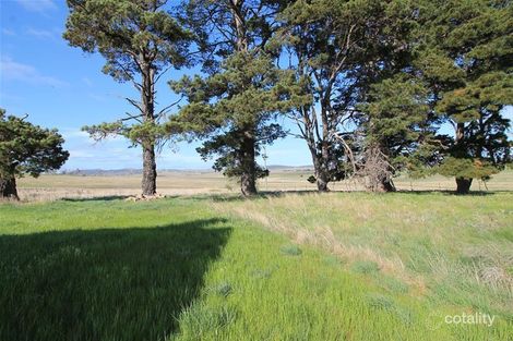 Property photo of 62 Matong Road Numbla Vale NSW 2628