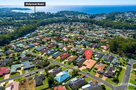 Property photo of 15 Forest Oak Avenue Ulladulla NSW 2539