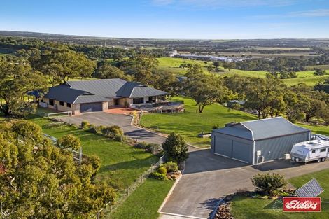10 Breakneck Hill Rd, Angaston, SA 5353