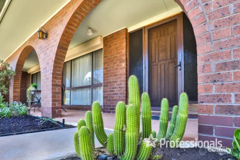 Property photo of 295 Belar Avenue Irymple VIC 3498