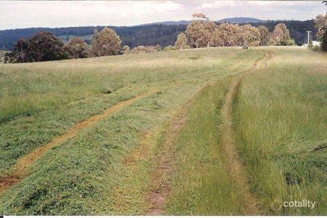 22 Woods Rd, Cabbage Tree Creek, VIC 3889