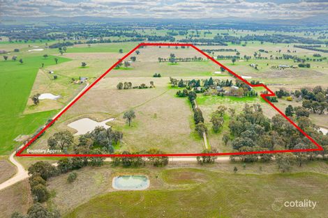 29 Nioka Rd, Jindera, NSW 2642