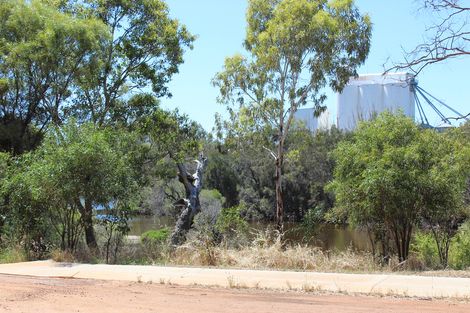 Property photo of 21 Mitchell Avenue Northam WA 6401