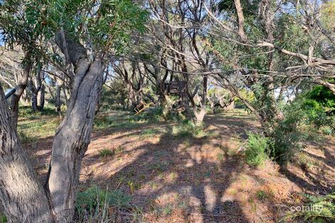 12 Fairway Ave, Lulworth, TAS 7252