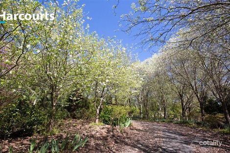 28 Purcell Dr, Merrijig, VIC 3723