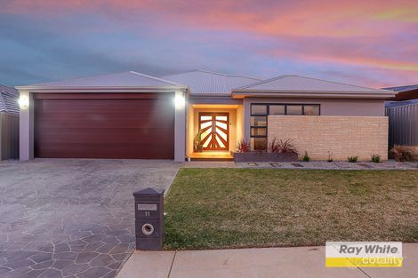 11 Newbury Way, Alkimos, WA 6038