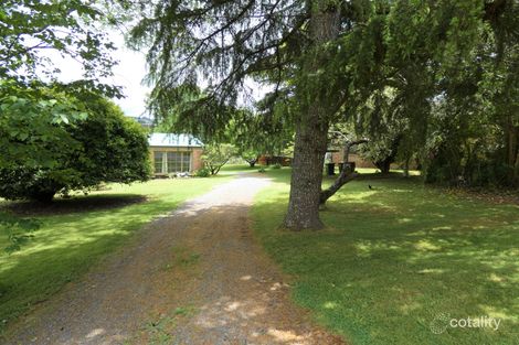 45 Myrtle St, Dorrigo, NSW 2453