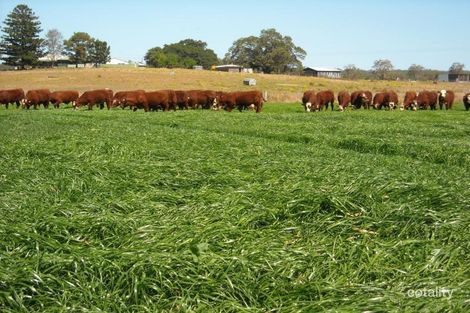 Lot 2 Sextonville Rd, Dobies Bight, NSW 2470