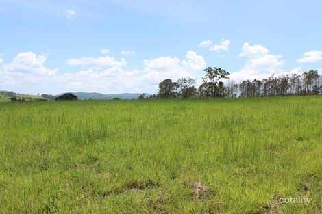 Property photo of 233 Tabulam Road Lower Bottle Creek NSW 2469