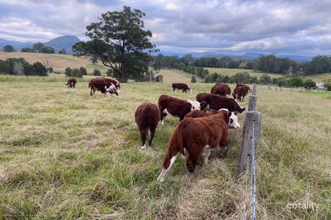 Property photo of 1463 Comboyne Road Killabakh NSW 2429