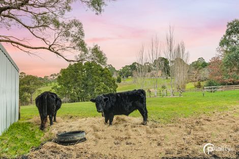 81-85 Boundary Rd, Harkaway, VIC 3806