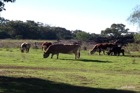 Property photo of 3825 Cypress Way Gwabegar NSW 2356