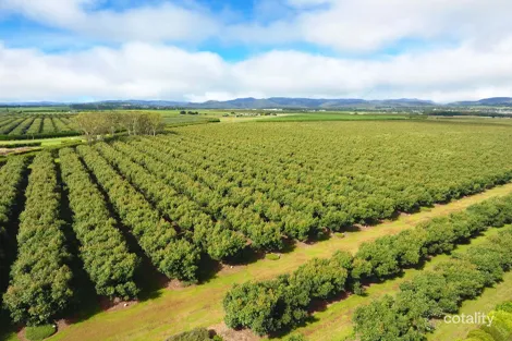 39 Yadjin Rd, Tolga, QLD 4882