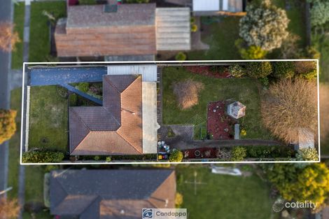 Property photo of 3 Blackwood Court Drouin VIC 3818