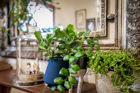 Property photo of 244 Gower Street Preston VIC 3072