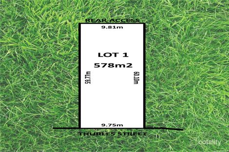 Property photo of 33 Thurles Street St Marys SA 5042