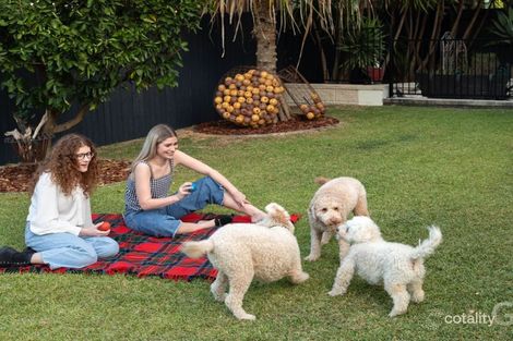 Property photo of 29 Drury Street Windsor QLD 4030