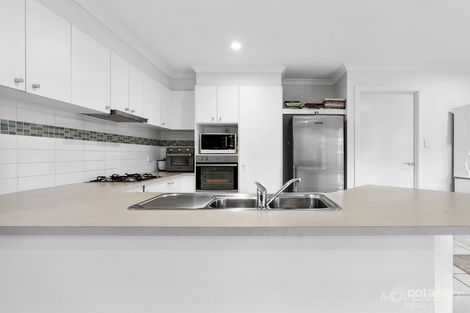 Property photo of 23 Dewdrop Place Ningi QLD 4511