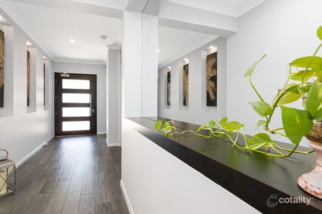 Property photo of 29 Hinchinbrook Close Ashtonfield NSW 2323