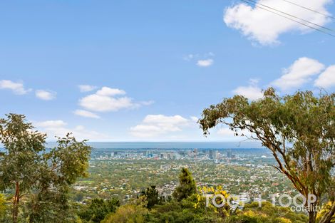 Property photo of 17 Ridgeland Drive Teringie SA 5072